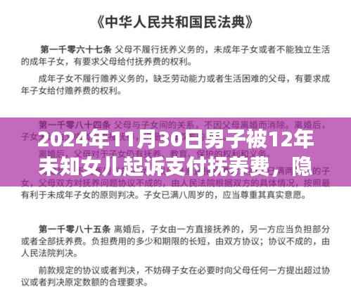 男子隐匿十二年父爱归位,面临抚养费等家庭纷争终极挑战事件回顾