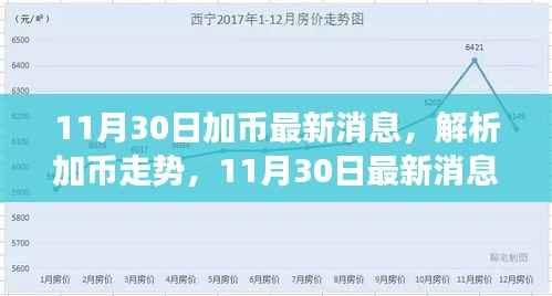 11月30日加币最新动态,走势解析与未来展望