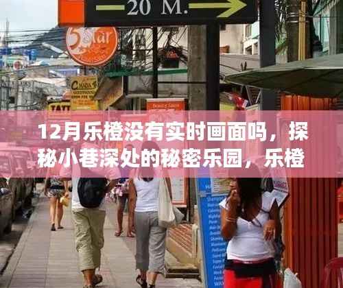 探秘乐橙小店，揭秘十二月实时画面缺失背后的秘密乐园之旅