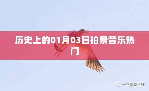 历史上的拍景音乐热潮,一月三日独特风景