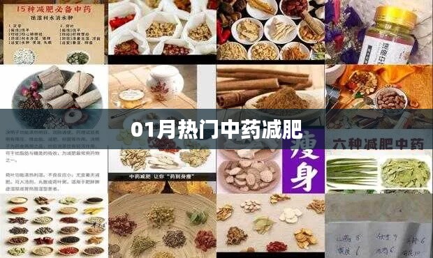 中药减肥秘籍,一月热门瘦身良方