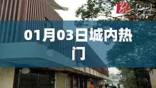 1月3日城内热点事件回顾