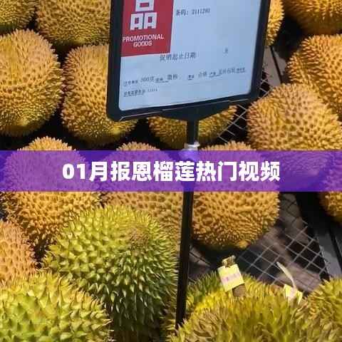 月报恩榴莲视频,榴莲爱好者的盛宴