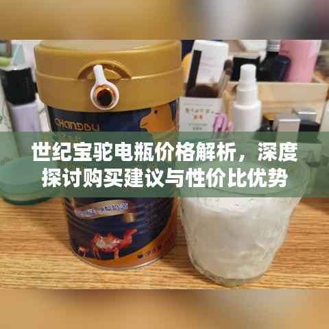 世纪宝驼电瓶价格解析,深度探讨购买建议与性价比优势