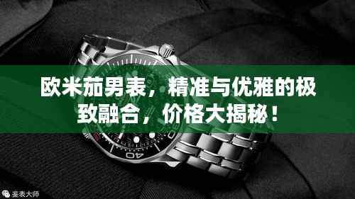 欧米茄男表,精准与优雅的极致融合,价格大揭秘!