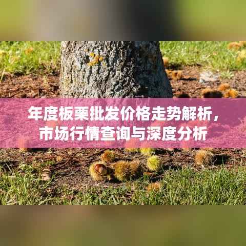 年度板栗批发价格走势解析，市场行情查询与深度分析