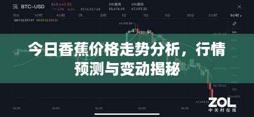 今日香蕉价格走势分析,行情预测与变动揭秘
