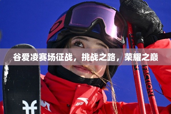 程门飞雪