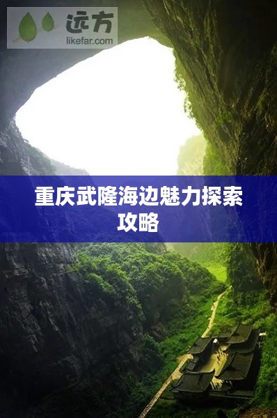 没张倒置