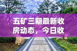 五矿三期最新收房动态，今日收房情况揭秘！