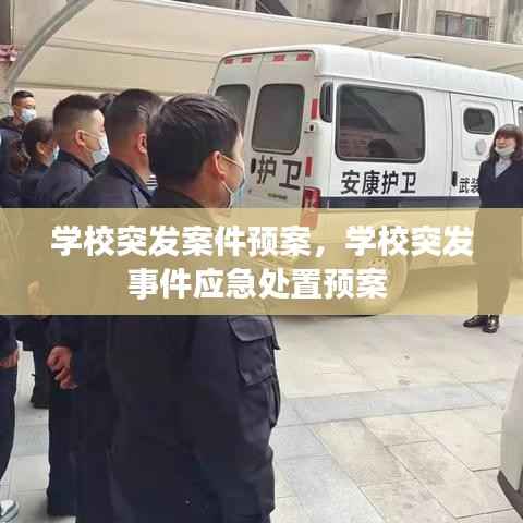 学校突发案件预案,学校突发事件应急处置预案