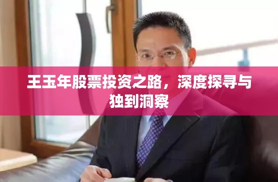 王玉年股票投资之路,深度探寻与独到洞察
