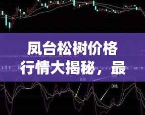 眉目如画